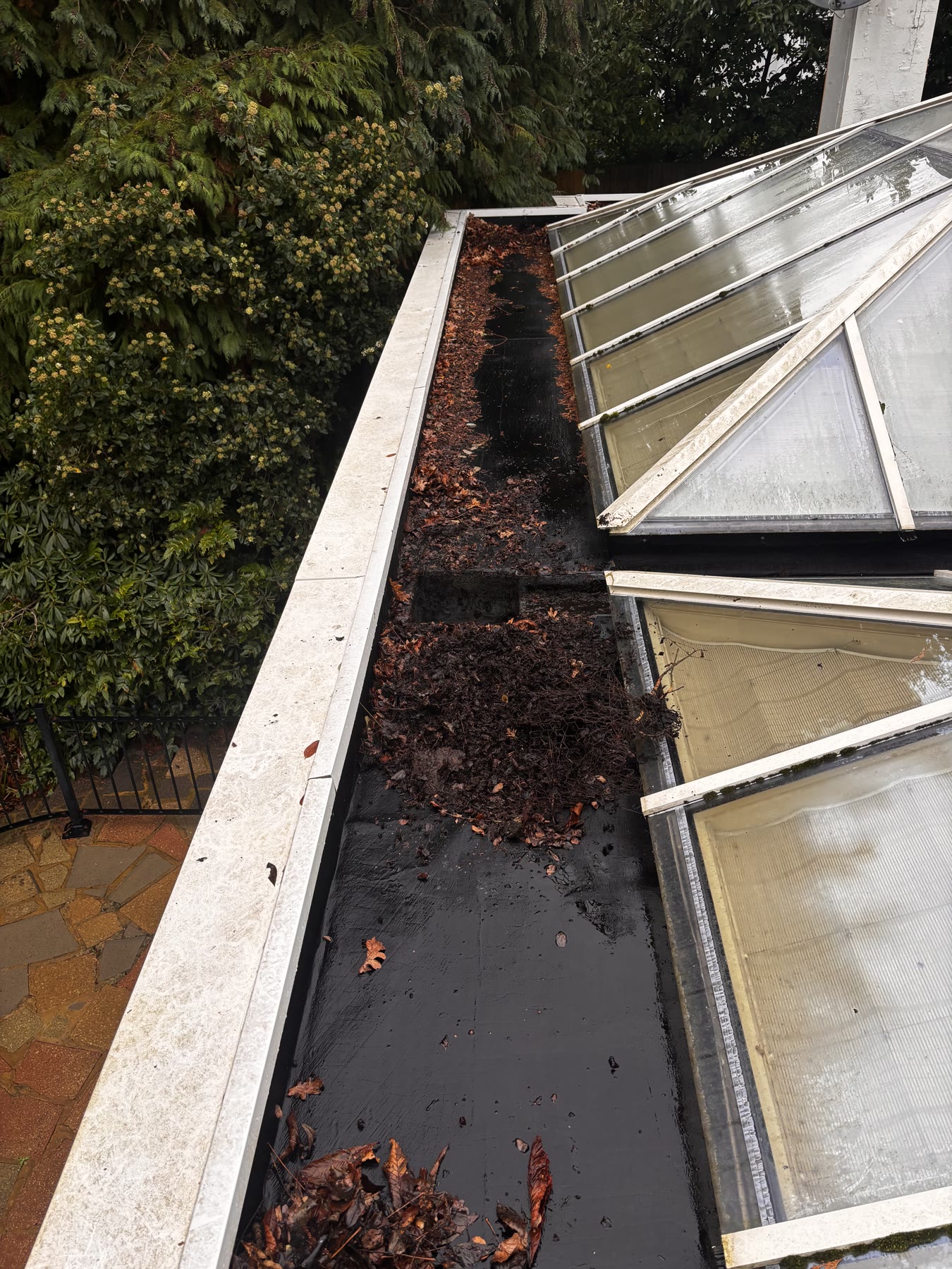 Gutter beside a conservatory before clearing