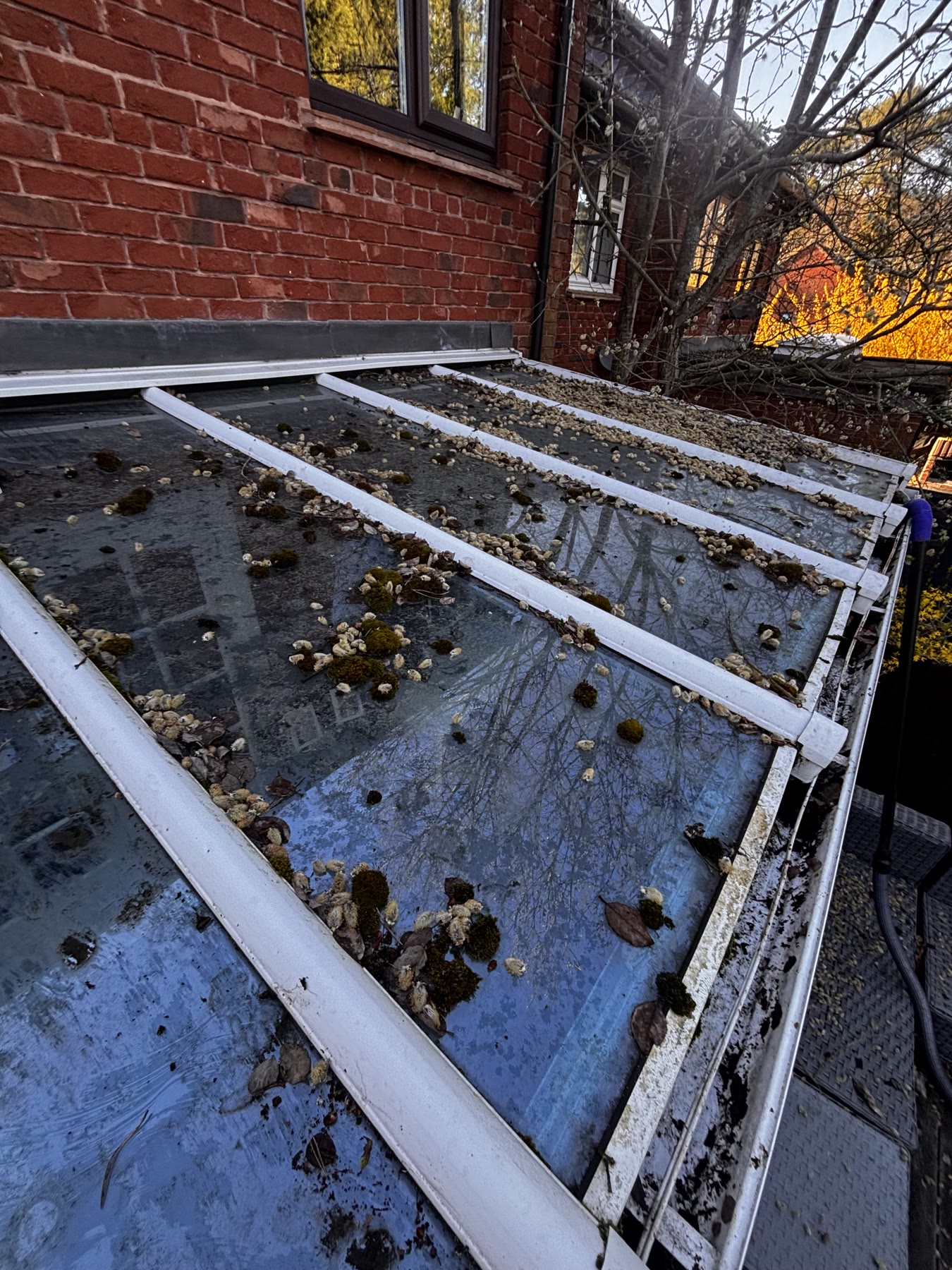 Conservatory roof before cleaning