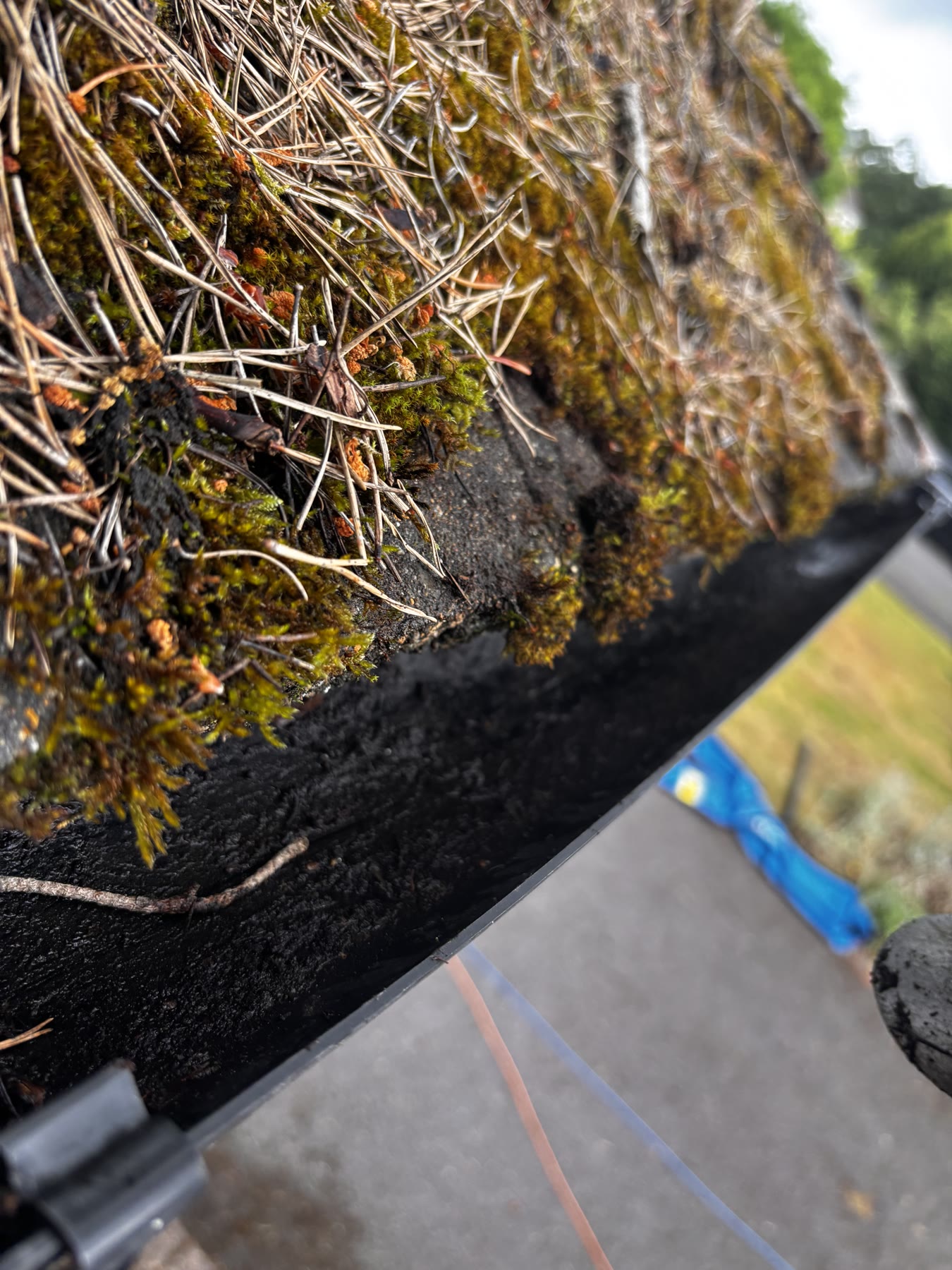 Gutter close-up after clearing